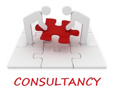 Consultancy Division