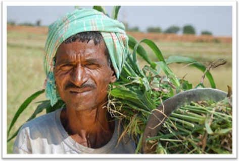 Farmer on 777 Power P Raveen Healing Templeindia