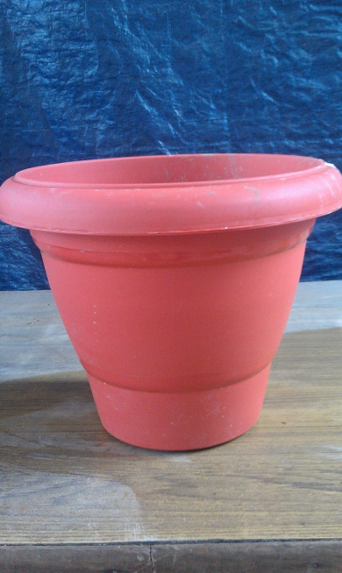 Plastic Pot 1 - Available in 4 sizes 