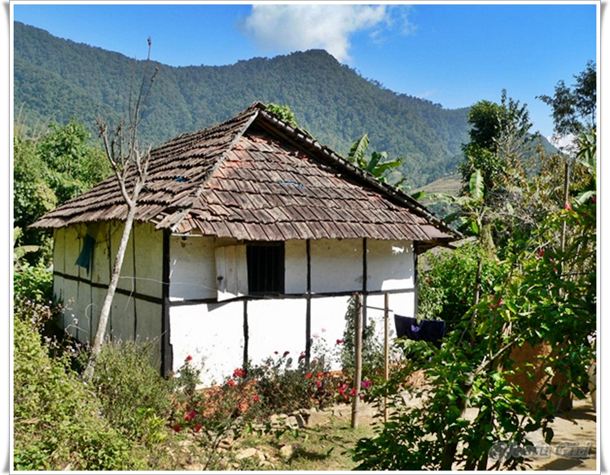 traditional house