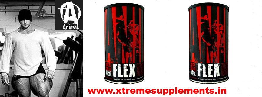 UNIVERSAL NUTRITION ANIMAL FLEX INDIA PRICE