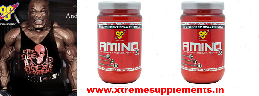 BIOTECH USA NITRON LIQUID AMINO PRICE INDIA,BEST PRICE BIOTECH USA NITRON LIQUID AMINO PRICE DELHIBSN AMINO X 30 SERVINGS INDIA PRICE