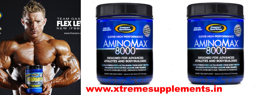 GASPARI NUTRITION AMINO MAX 8000 PRICE INDIA