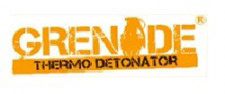 GRENADAE THERMO DETONATOR PRICE INDIA