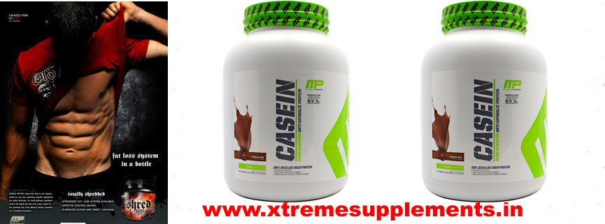 MUSCLEPHARM CASEIN PRICE INDIA