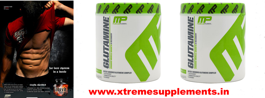 MUSCLE PHARMA GLUTAMINE 300 GMS INDIA PRICE