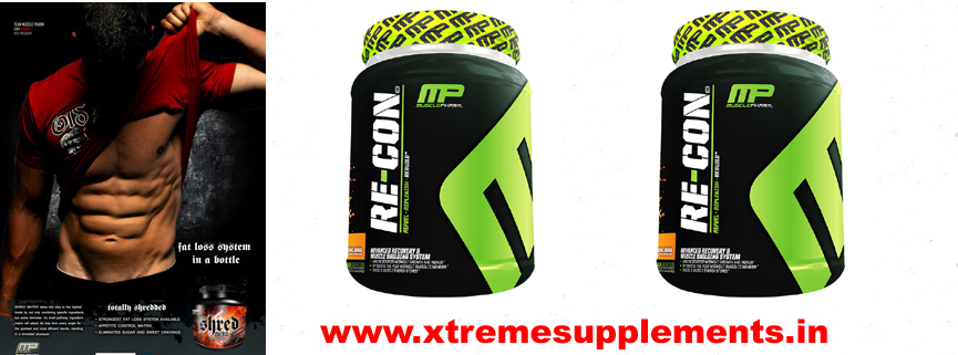 MUSCLEPHARMA RECON INDIA PRICE