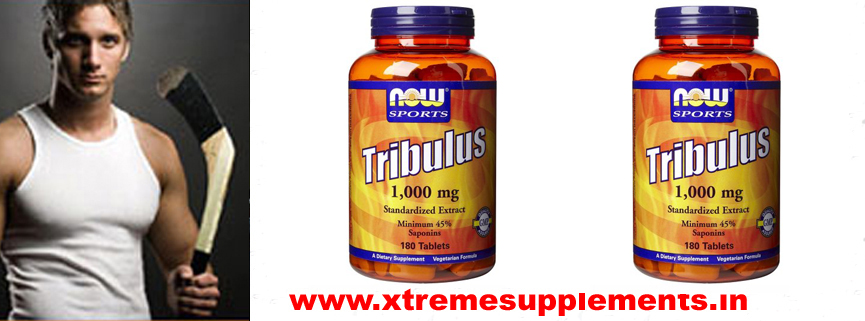 NOW TRIBULUS 1000 MG INDIA PRICE