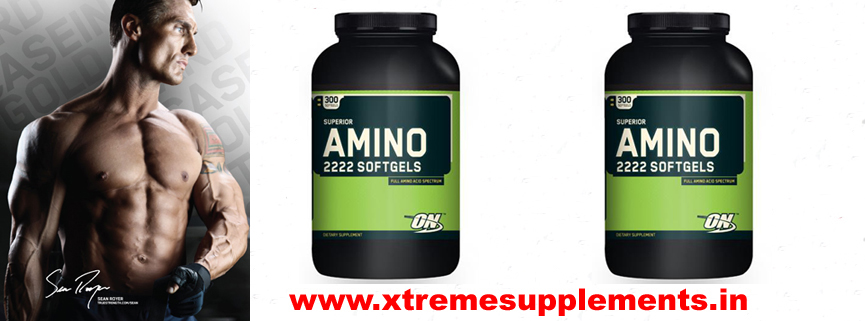 Buy amino acid powder/tablets online at xtremesupplements, Get discount on amino acid supplements, Get best amino acid Supplement brands at low price India,buy amino acid online   india,buy 100% genuine amino acid in delhi india,best amino acid online shop in delhi ncr india,top most amino acid in india,result oriented amino acid in india, amino acid to   increase muscle stamina and strength