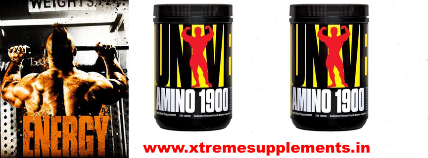 ULTIMATE NUTRITION ZMA PRICE INDIA