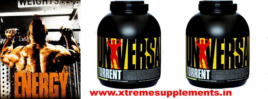 UNIVERSAL NUTRITION TORRENT PRICE INDIA