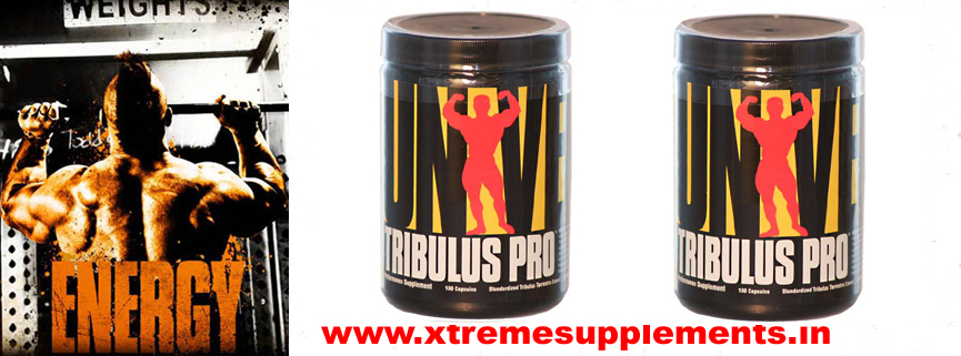 Buy ISOMASS XTREME GAINER 1, Buy ISOMASS XTREME GAINER 1 delhi, Buy ISOMASS XTREME GAINER 1 East Delhi, Buy ISOMASS XTREME GAINER 1 gurgaon, Buy ISOMASS XTREME GAINER 1 Haryana, Buy ISOMASS XTREME GAINER 1 New delhi, Buy ISOMASS XTREME GAINER 1 Noida, Buy ISOMASS XTREME GAINER 1 north Delhi, Buy ISOMASS XTREME GAINER 1 South Delhi, Buy ISOMASS XTREME GAINER 1 west Delhi, Buy ISOMASS XTREME GAINER 1ULTIMATE NUTRITION in india, Buy pure ISOMASS XTREME GAINER 1 in Delhi, Buy Pure ISOMASS XTREME GAINER 1 in gurgaon, Buy pure ISOMASS XTREME GAINER 1 in Haryana, Buy Pure ISOMASS XTREME GAINER 1 in India, Buy pure ISOMASS XTREME GAINER 1 in New Delhi, Buy pure ISOMASS XTREME GAINER 1 in Noida, Buy ULTIMATE NUTRITION ISOMASS XTREME GAINER 1, Buy ULTIMATE NUTRITION ISOMASS XTREME GAINER 1 Delhi, Buy ULTIMATE NUTRITION ISOMASS XTREME GAINER 1 New Delhi, Buy ULTIMATE NUTRITION ISOMASS XTREME GAINER 1 Noida, I want to buy ISOMASS XTREME GAINER 1 in delhi, Looking for ISOMASS XTREME GAINER 1 in Delhi, Looking for ISOMASS XTREME GAINER 1 in East Delhi, Looking for ISOMASS XTREME GAINER 1 in gurgaon, Looking for ISOMASS XTREME GAINER 1 in Haryana, Looking for ISOMASS XTREME GAINER 1 in india, Looking for ISOMASS XTREME GAINER 1 in New Delhi, Looking for ISOMASS XTREME GAINER 1 in Noida, Looking for ISOMASS XTREME GAINER 1 in North Delhi, Looking for ISOMASS XTREME GAINER 1 in South Delhi, Looking for ISOMASS XTREME GAINER 1 in west Delhi, Online purchase of ISOMASS XTREME GAINER 1 in Delhi, Online Purchase of ISOMASS XTREME GAINER 1 in gurgaon, Online Purchase of ISOMASS XTREME GAINER 1 in Haryana, Online Purchase of ISOMASS XTREME GAINER 1 in Noida, Purchase ISOMASS XTREME GAINER 1 online Delhi, Purchase ISOMASS XTREME GAINER 1 online gurgaon, Purchase ISOMASS XTREME GAINER 1 online Haryana, Purchase ISOMASS XTREME GAINER 1 online india, Purchase ISOMASS XTREME GAINER 1 online New Delhi, Purchase ISOMASS XTREME GAINER 1 online Noida, Searchin for ISOMASS XTREME GAINER 1 in gurgaon, Searching for ISOMASS XTREME GAINER 1 in Delhi, Searching for ISOMASS XTREME GAINER 1 in East Delhi, Searching for ISOMASS XTREME GAINER 1 in Haryana, Searching for ISOMASS XTREME GAINER 1 in New Delhi, Searching for ISOMASS XTREME GAINER 1 in Noida, Searching For ISOMASS XTREME GAINER 1 in North Delhi, Searching for ISOMASS XTREME GAINER 1 in South Delhi, Searching for ISOMASS XTREME GAINER 1 in West Delhi, Shop selling ISOMASS XTREME GAINER 1 in delhi, Shop selling ULTIMATE NUTRITION products delhi, Where to buy ISOMASS XTREME GAINER 1 in delhi, Where to buy ISOMASS XTREME GAINER 